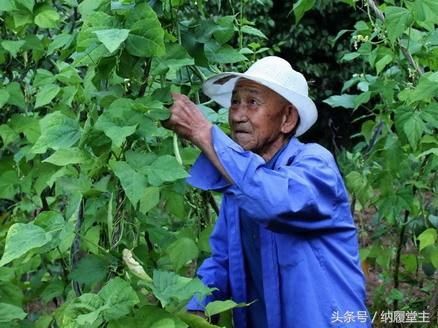 袁世凯唯一健在的儿子，栖身荒山窑洞40余载，植树25万余棵！