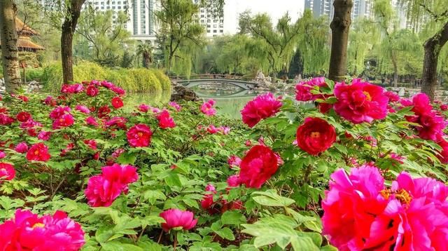 2018春天国内最美的30个地方,你去过几个?
