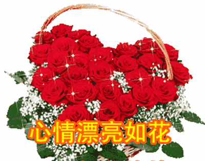 最新早上好证件表情早上好动态表情v证件动态图片包照图片