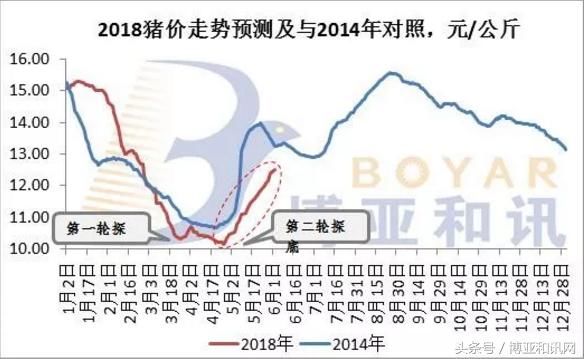 全国猪价将破11奔12，能否抓住行情？当前市场的几个变化要注意