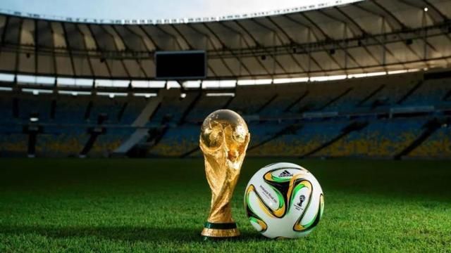 2018世界杯|预测输赢,猫咪和算法谁更准?