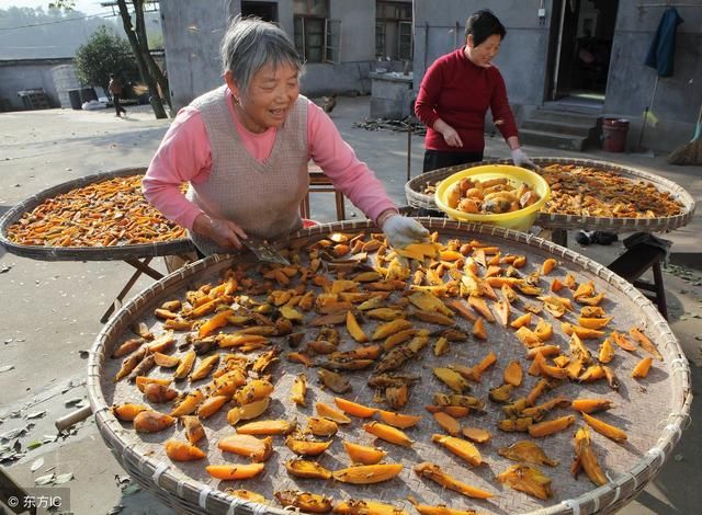 农家卖不出去的红薯，稍作加工，变城市抢手货！农村致富新思路！