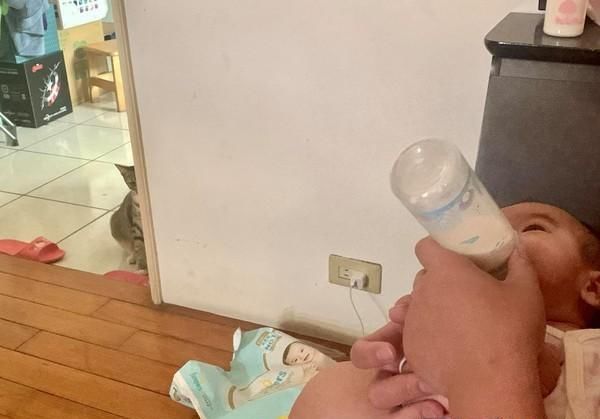 猫咪觉得自己失宠,躲在角落偷看主人喂宝宝,眼神超级哀怨 老葡京娱乐