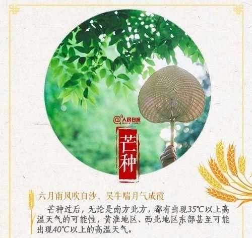 芒种到，防苦夏！养生要遵循四大原则，祛湿又防病！