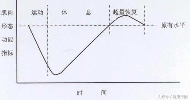 春节不练，肌肉不掉的秘密