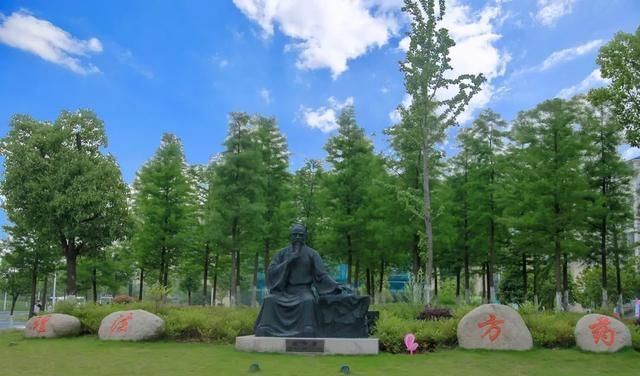 国家重点研发计划的