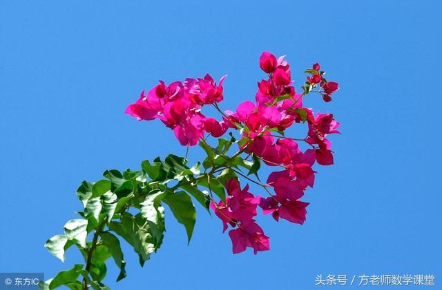 孩子即将面临中考,妈妈该怎么做?家长该怎么做