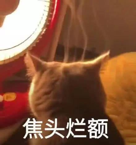 两开花熊猫头考试期末更新10表情包大谣言微信焦头烂额表情图片