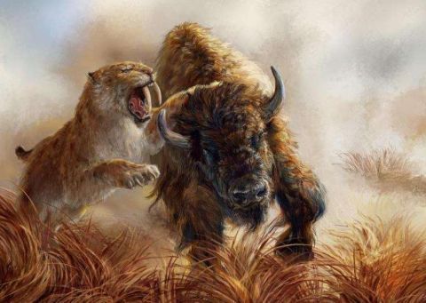 6种战力超群的古老生物,第5种至今仍存在,似恐