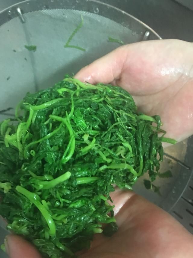 这种野菜是个宝，降脂降糖功效多，包饺子和馄饨都特别香3碗不够