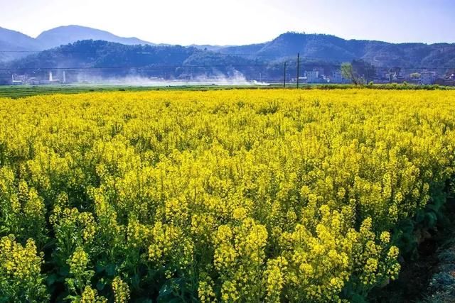 3月，美的不仅是丽江，更是丽江旁边的这座小城！