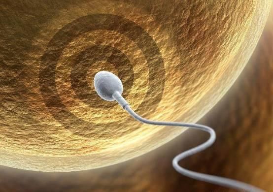 受精卵着床需要几天?受精卵着床成功后,身体会