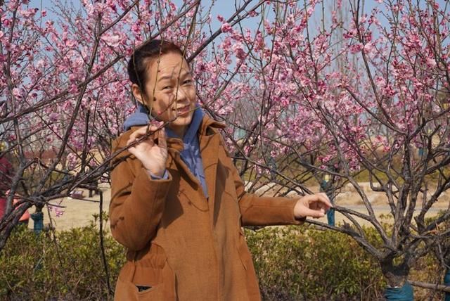 春节闲逛走拍洛阳百态之四：瀍河洛浦梅花艳，桥飞蛟龙丝路长