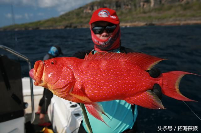 顶级钓场巡礼圣诞岛