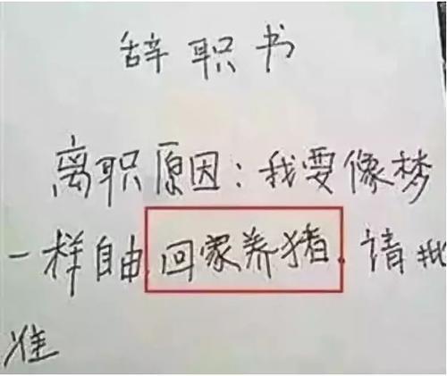 我用一个网友把老板辞了!表情晒图片辞职信表情奇葩包烦躁图片