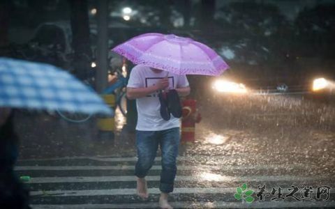 深圳发生雨棚坍塌 暴雨天气要注意什么