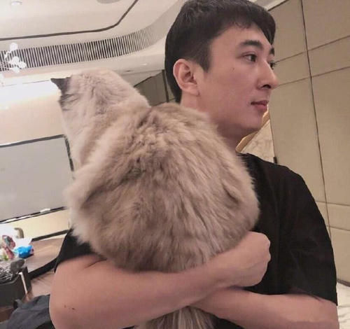 限制高消费规定