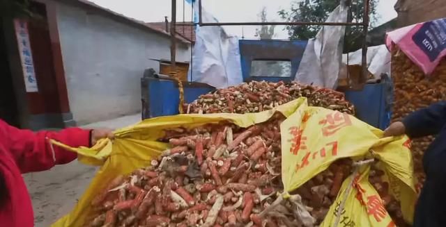 废料利用玉米芯赚钱,几万到几十万不等