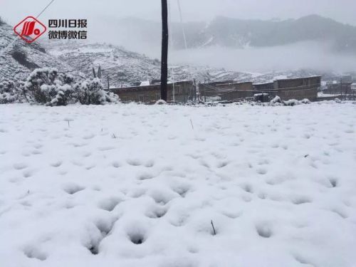 烟台、辽宁冰雹，四川阿坝降雪、降雨…今年极端天气频发，农户受