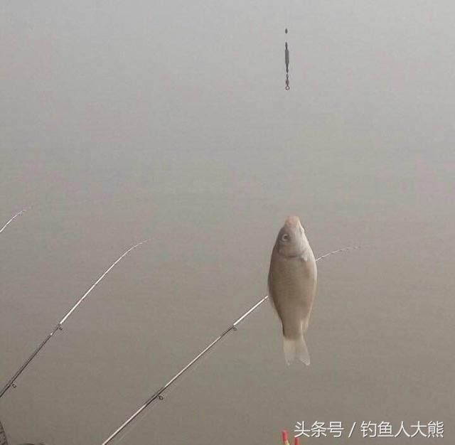 鱼饵并非越贵越好！钓鱼半天没口，我用6块钱一包的鱼饵实现连杆