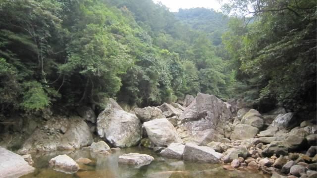 十万大山，每一座山峰都是独立的，都是孤傲的