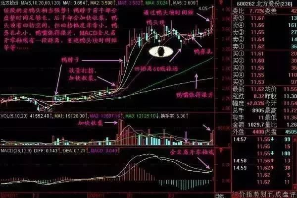 雄安新区第一龙头从84跌至3元，利润暴增568倍，有望主升浪