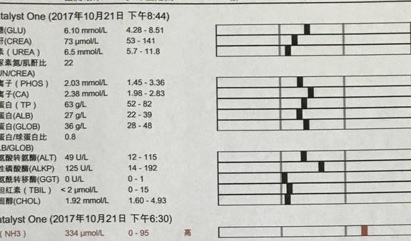 体检报告解读: 肝炎和肝功能检查!