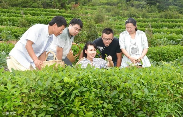 想做村干部？符合这几个条件的人，终生无法参与村干部选举！