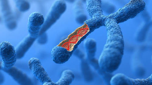 人造生命的伦理思考:不是对生命本质的挑战,