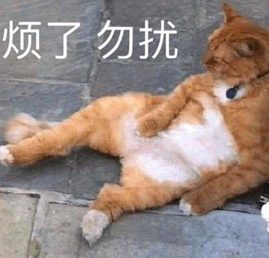 表情可爱样子:你生气的猫咪像极了我女朋友青蛙小表情包搞笑的图片