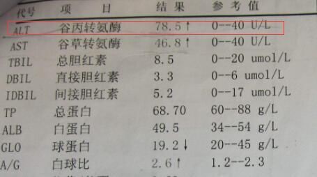 转氨酶升高，小心肝病来袭！枸杞这样泡水喝，数值降降降，肝更好