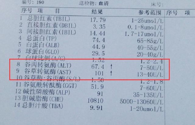 皮肤沾了乙肝人口水_乙肝皮肤起红点图片