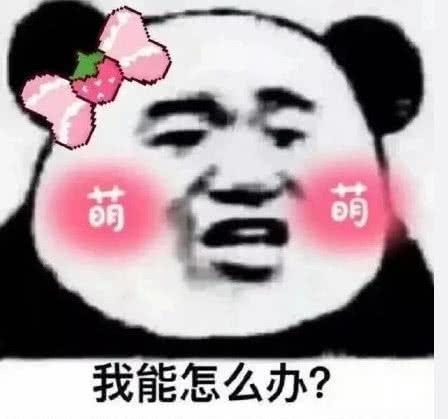 t0174e41ee773091f81.jpg