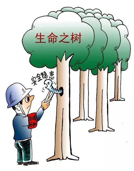 游文昌:当好政治生态 护林员