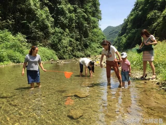 湖北宜昌：下牢溪水清澈见底 小鱼螃蟹随便抓