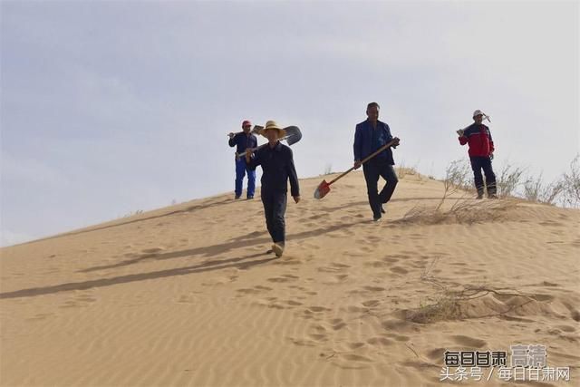 战风暴缚黄龙 八步沙漠变绿洲 祁连山下织锦绣