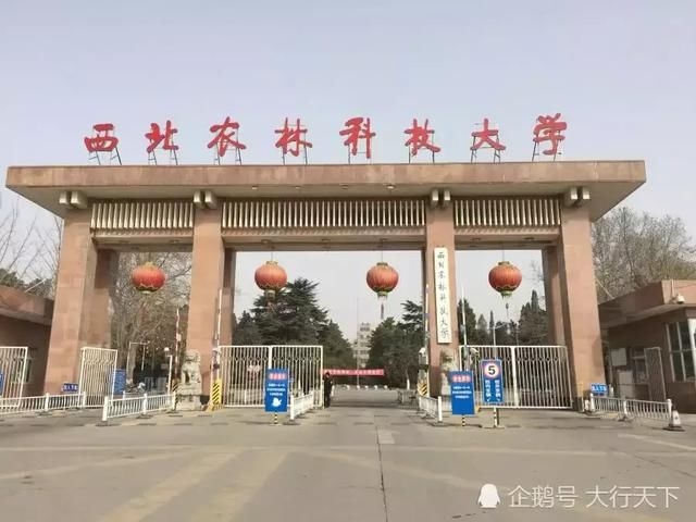 这个小镇不光有所大学，而且还是“985”，堪称“天下第一镇”