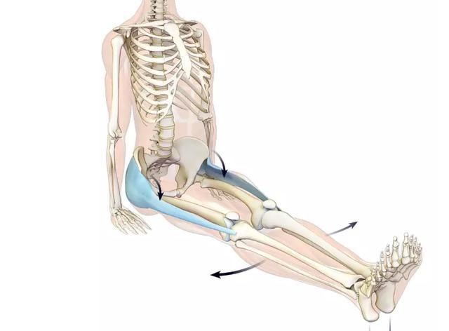 瑜伽教培连载34:手杖式 看着简单做起来难