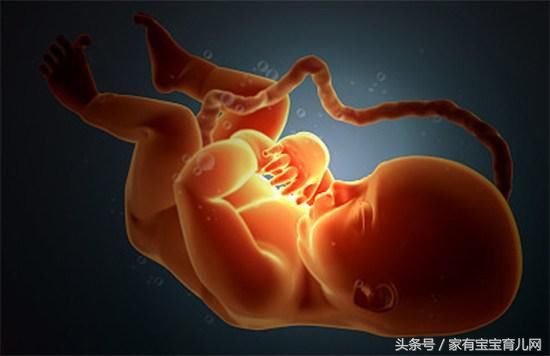 胎儿打嗝到底能测胎位还是性别?妈妈别把打嗝