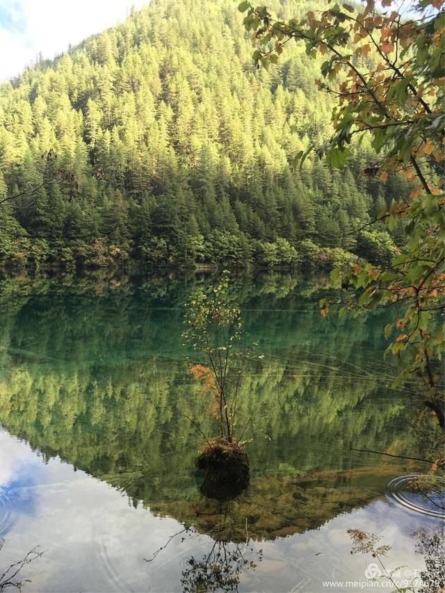醉美九寨，不灭的神话(二)纪念逝去的火花海，诺日朗瀑布