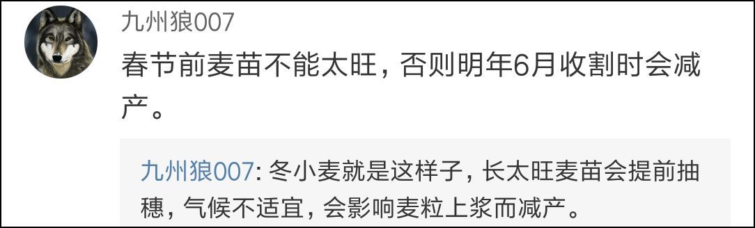 西安蓝田村民用麦田做停车场遭质疑，官方 :不影响小麦生长