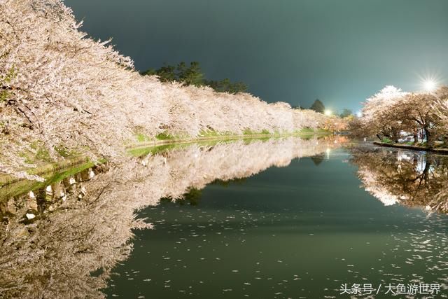 活用JR PASS，省钱游遍日本秋田青森樱花百选之地