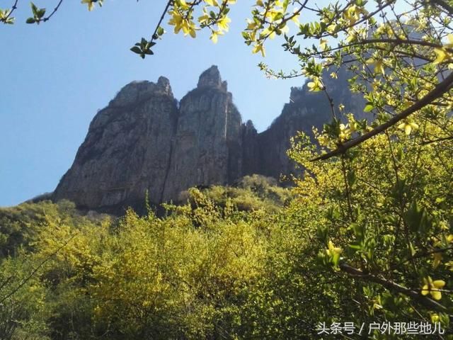 春天的太行山，连翘花儿满山坡，有一种曲径通幽之美