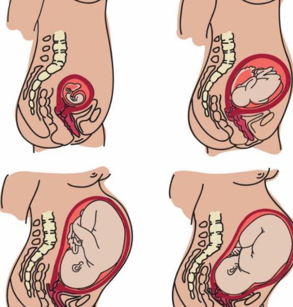 三十周胎儿正常的斤数大约是多少?这几点孕产
