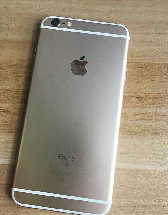 t017659548946ca25a9.jpg