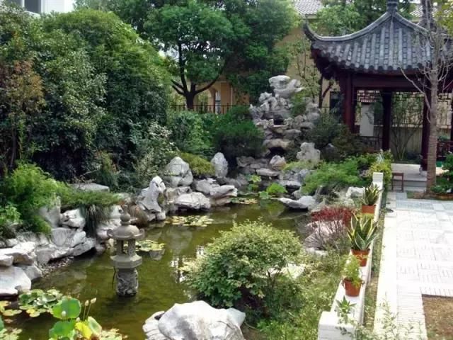看苏式园林庭院中植物与山石的微妙关系!