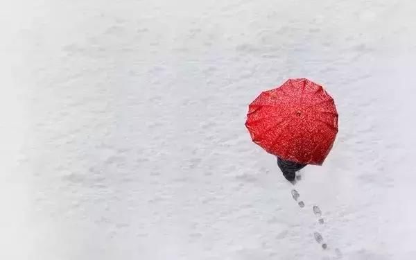 第一次想用高质量来形容这些短句子