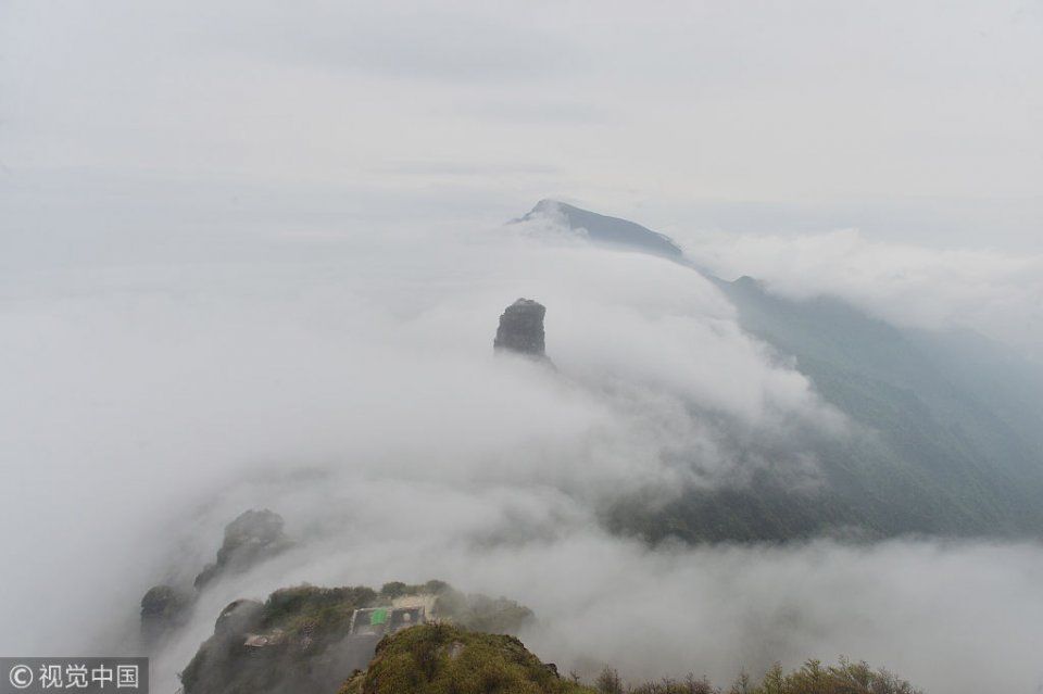 【独家】贵州铜仁:梵净山现平流雾景观 云雾飘