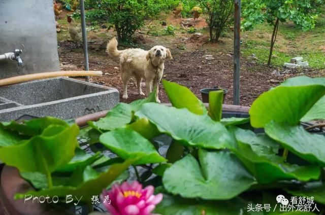 安徽舒城：影像志｜夏日的雨天 游“世外桃源，三国故地”天子寨