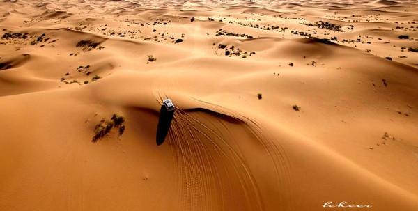 荒漠也不是荒漠了